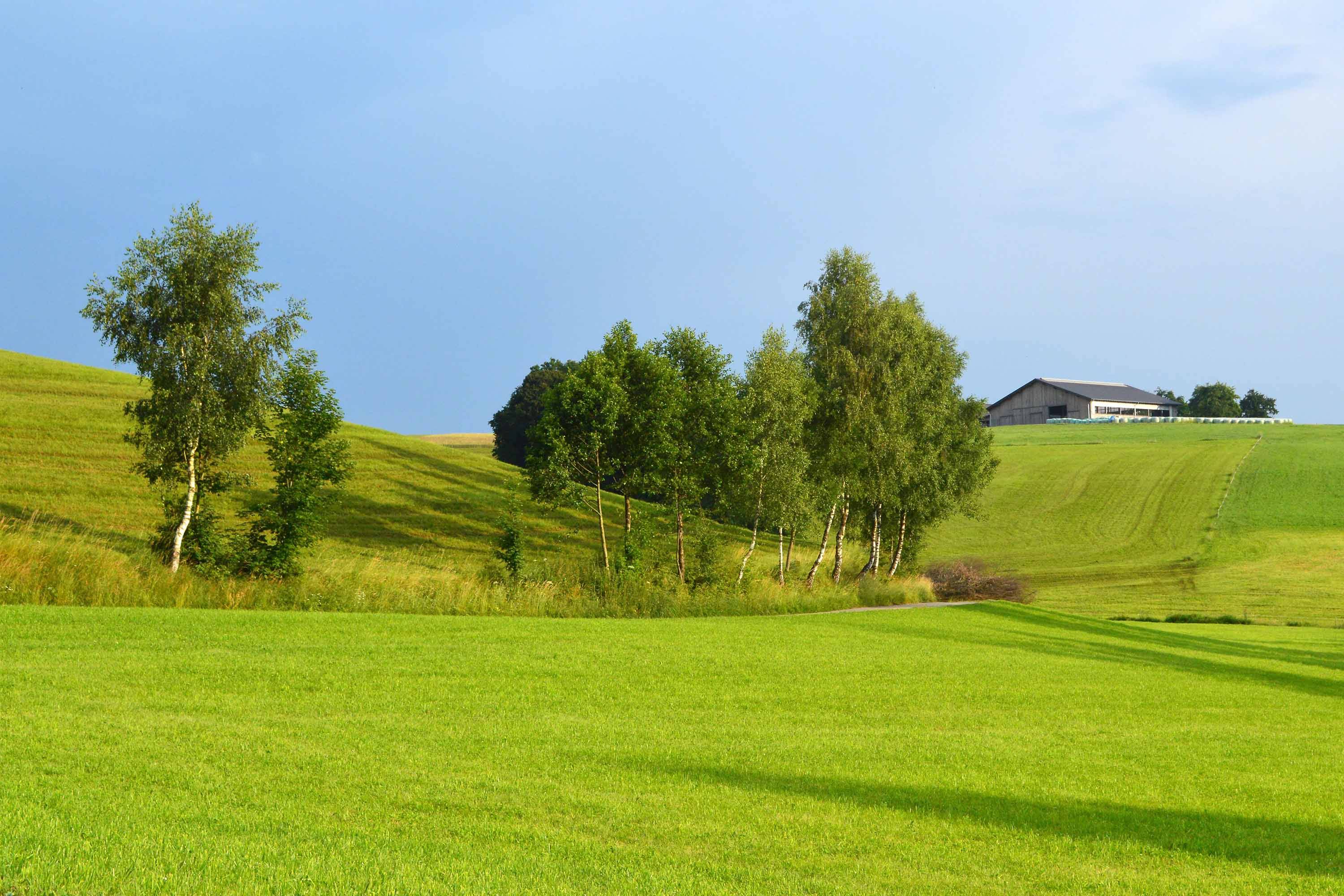 Fürstlicher Park